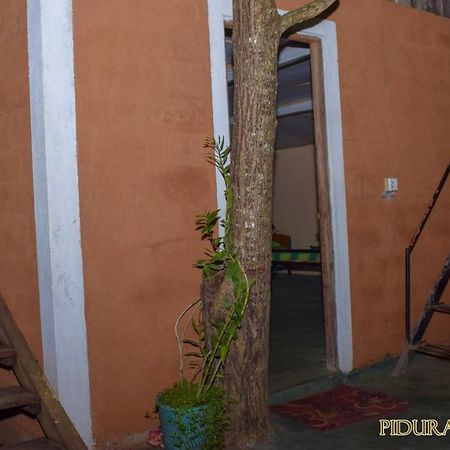 Pidurangala Hostel Sigiriya Dış mekan fotoğraf