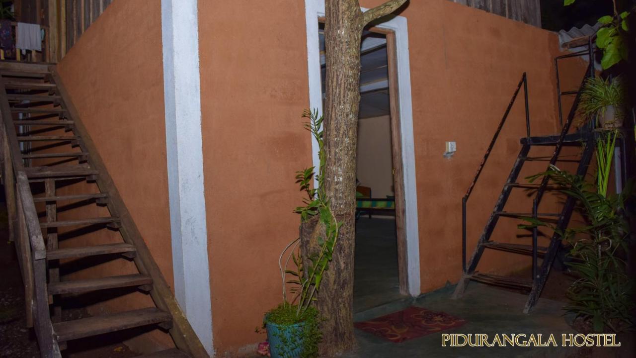 Pidurangala Hostel Sigiriya Dış mekan fotoğraf