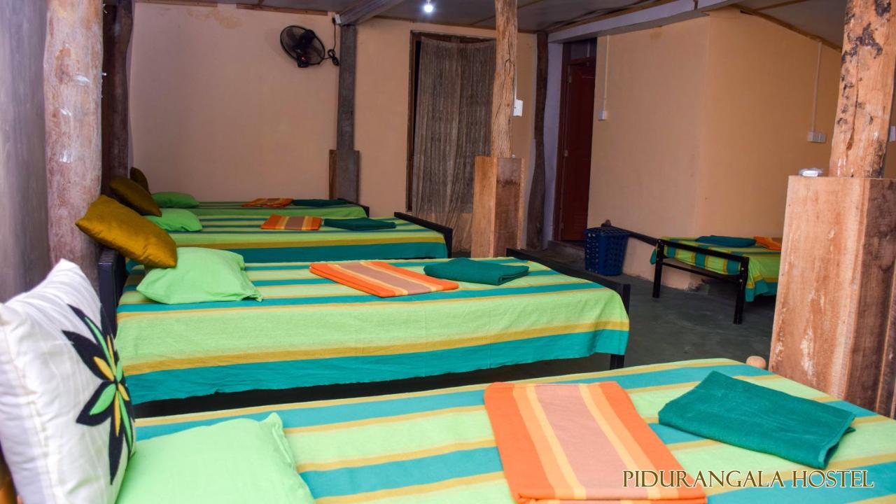 Pidurangala Hostel Sigiriya Dış mekan fotoğraf